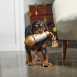 Frisco Firework Plush With Rope Squeaky Dog Toy -Pet Toys Store 288480 PT3. AC SS1800 V1638291301