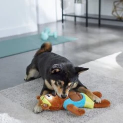 Frisco Fitness Bear Reversible Plush Squeaky Dog Toy -Pet Toys Store 288897 PT3. AC SS1800 V1638291713