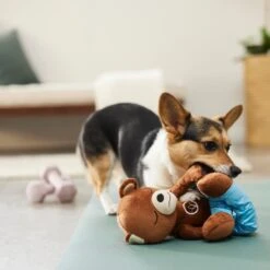 Frisco Yoga Bear Plush Squeaky Dog Toy 7 Frisco Yoga Bear Plush Squeaky Dog Toy -Pet Toys Store 288903 PT3. AC SS1800 V1638288516