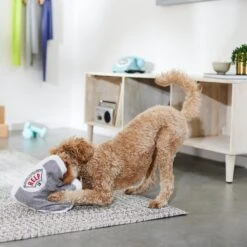 Frisco Scale Plush Squeaky Dog Toy -Pet Toys Store 288911 PT3. AC SS1800 V1638289585