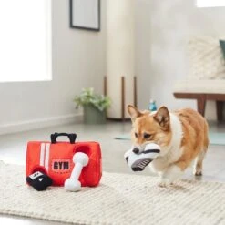 Frisco Gym Bag Hide & Seek Puzzle Plush Squeaky Dog Toy -Pet Toys Store 288913 PT3. AC SS1800 V1638289728