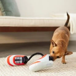 Frisco Running Shoes Plush With Rope Dog Toy 7 Frisco Running Shoes Plush With Rope Dog Toy -Pet Toys Store 288915 PT3. AC SS1800 V1638292478