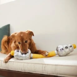 Frisco Weight Bar Wagazoo Plush Squeaky Dog Toy -Pet Toys Store 288917 PT3. AC SS1800 V1638292413