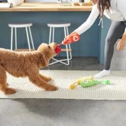 Frisco New Year, New Me Juice Cleanse Plush Squeaky Dog Toy -Pet Toys Store 288929 PT3. AC SS1800 V1638289348