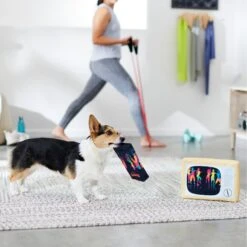 Frisco TV & VHS Tape Plush Squeaky Dog Toy, 2 Count -Pet Toys Store 288935 PT3. AC SS1800 V1638291435