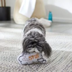 Frisco Message Bubble Plush Squeaky Dog Toy -Pet Toys Store 288941 PT3. AC SS1800 V1638289328