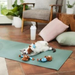 Frisco New Year, New Me Namaste Bear Plush Cat Toy With Catnip -Pet Toys Store 288947 PT3. AC SS1800 V1638289414