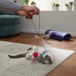 Frisco New Year, New Me Gym Bouncy Mice Plush Cat Toy With Catnip -Pet Toys Store 288949 PT3. AC SS1800 V1638289802