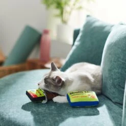 Frisco Protein Bar & Gym Membership Plush Cat Toy With Catnip -Pet Toys Store 288951 PT3. AC SS1800 V1638290814