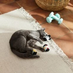 Frisco Pre-Workout & Protein Plush Cat Toy With Catnip, 3 Count 7 Frisco Pre-Workout & Protein Plush Cat Toy With Catnip, 3 Count -Pet Toys Store 288953 PT3. AC SS1800 V1638287817