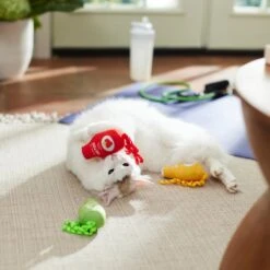 Frisco New Year, New Me Juice Cleanse Plush Cat Toy With Catnip -Pet Toys Store 288957 PT3. AC SS1800 V1638292099