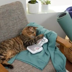 Frisco Scale & Message Bubble Plush Cat Toy With Catnip, 2 Count -Pet Toys Store 288959 PT3. AC SS1800 V1638288401