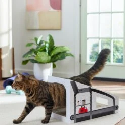 Frisco Treadmill Cardboard Cat House -Pet Toys Store 288967 PT3. AC SS1800 V1638288289