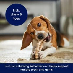 Frisco Ring Tough Nylon Chew Dog Toy, Chicken Flavor -Pet Toys Store 290533 PT4. AC SS1800 V1695760990