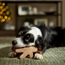 Frisco Nylon Gingerbread Dog Chew Toy, Beef Flavor, Medium 9 Frisco Nylon Gingerbread Dog Chew Toy, Beef Flavor, Medium -Pet Toys Store 291385 PT3. AC SS1800 V1668108316