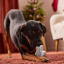 Frisco Holiday Nylon Snowflake Dog Chew Toy, Peanut Butter Flavor, Medium 9 Frisco Holiday Nylon Snowflake Dog Chew Toy, Peanut Butter Flavor, Medium -Pet Toys Store 291387 PT3. AC SS1800 V1629306692