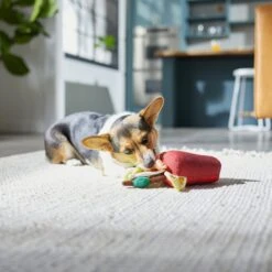 Frisco Brunch Bloody Mary Plush Squeaky Dog Toy 7 Frisco Brunch Bloody Mary Plush Squeaky Dog Toy -Pet Toys Store 297228 PT2. AC SS1800 V1642088343