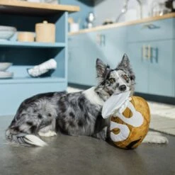 Frisco Brunch Cinnamon Roll Jumbo Plush Squeaky Dog Toy -Pet Toys Store 297260 PT2. AC SS1800 V1642089012