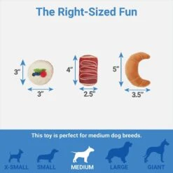 Frisco Brunch Pastry Plate Plush Squeaky Dog Toy -Pet Toys Store 297262 PT2. AC SS1800 V1643916710