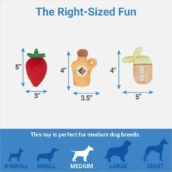 Frisco Brunch Pancake Hide & Seek Puzzle Plush Squeaky Dog Toy -Pet Toys Store 297266 PT2. AC SS1800 V1643916712