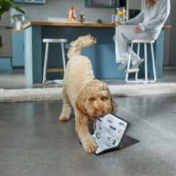 Frisco Brunch Menu Ballistic Nylon Flat Plush Squeaky Dog Toy -Pet Toys Store 297276 PT2. AC SS1800 V1642088788