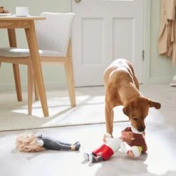 Frisco Brunch Chef & Waitress Plush Squeaky Dog Toy, 2 Count -Pet Toys Store 297278 PT2. AC SS1800 V1642088629