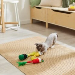 Frisco Brunch Bottomless Mimosas Plush Cat Toy With Catnip, 3 Count -Pet Toys Store 297288 PT2. AC SS1800 V1642088553