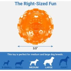 Frisco Fetch Squeaky TPR Ball Dog Toy & Bones & Chews Pig Ear Chews Dog Treats 9 Frisco Fetch Squeaky TPR Ball Dog Toy & Bones & Chews Pig Ear Chews Dog Treats -Pet Toys Store 297964 PT2. AC SS1800 V1623255143