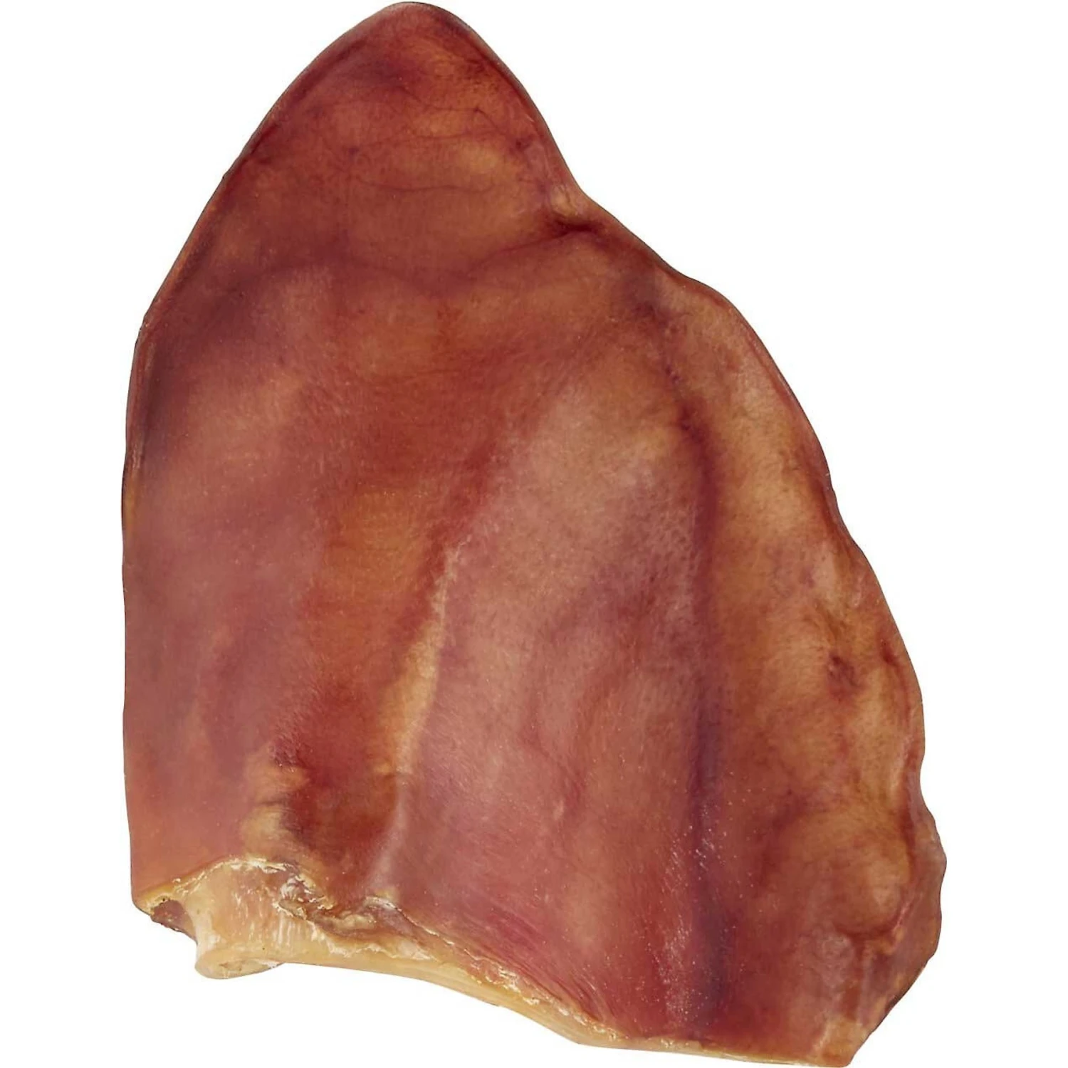 Frisco Fetch Squeaky TPR Ball Dog Toy & Bones & Chews Pig Ear Chews Dog Treats 7 Frisco Fetch Squeaky TPR Ball Dog Toy & Bones & Chews Pig Ear Chews Dog Treats - Image 5