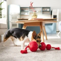 Frisco Lunar New Year Lantern Plush With Rope Squeaky Dog Toy -Pet Toys Store 298885 PT3. AC SS1800 V1640269279