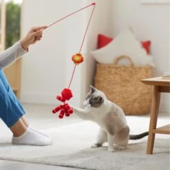 Frisco Lunar New Year Firecracker & Lantern Teaser Cat Toy With Catnip -Pet Toys Store 298901 PT3. AC SS1800 V1640269210