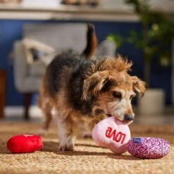 Frisco Valentine Hearts Plush Squeaky Dog Toy -Pet Toys Store 298919 PT3. AC SS1800 V1701365170