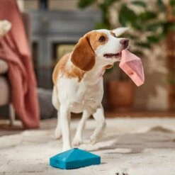 Frisco Valentine Love Letters Latex Squeaky Dog Toy -Pet Toys Store 298925 PT3. AC SS1800 V1701365173