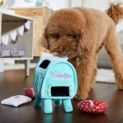 Frisco Valentine Love Letters Hide & Seek Puzzle Plush Squeaky Dog Toy -Pet Toys Store 298929 PT3. AC SS1800 V1638987486