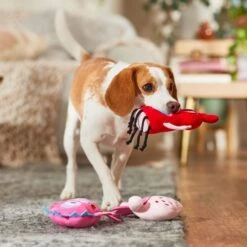 Frisco Valentine Love Monsters Plush Squeaky Dog Toy -Pet Toys Store 298931 PT3. AC SS1800 V1701365187