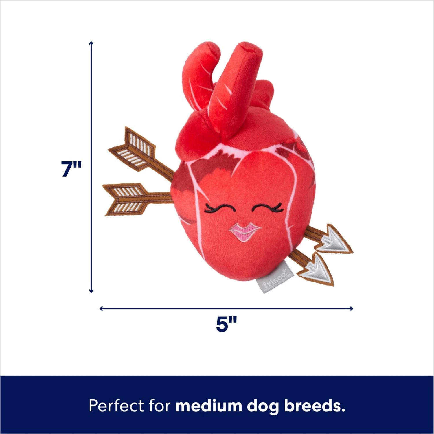 Frisco Valentine Anatomical Heart Plush Squeaky Dog Toy 4 Frisco Valentine Anatomical Heart Plush Squeaky Dog Toy - Image 2