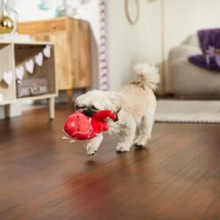 Frisco Valentine Anatomical Heart Plush Squeaky Dog Toy 8 Frisco Valentine Anatomical Heart Plush Squeaky Dog Toy -Pet Toys Store 298933 PT3. AC SS1800 V1638987632