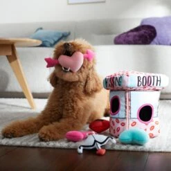 Frisco Valentine Kissing Booth Hide & Seek Puzzle Plush Squeaky Dog Toy -Pet Toys Store 298943 PT3. AC SS1800 V1638987417
