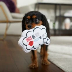 Frisco Valentine Be My Valentine Thought Bubble Reversible Plush Squeaky Dog Toy -Pet Toys Store 298947 PT3. AC SS1800 V1638987445