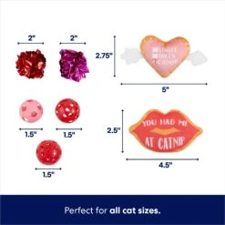 Frisco Valentine Variety Pack Cat Toy With Catnip, 13 Count -Pet Toys Store 298966 PT2. AC SS1800 V1701364858
