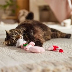 Frisco It's Raining Love Plush Cat Toy With Catnip, 4 Count -Pet Toys Store 298968 PT3. AC SS1800 V1701364859