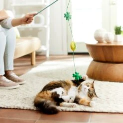 Frisco St. Patrick's Shamrock Teaser Wand Cat Toy With Catnip -Pet Toys Store 303108 PT3. AC SS1800 V1641230422