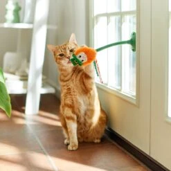Frisco St. Patrick's Leprechaun Suction Cup Teaser Cat Toy With Catnip -Pet Toys Store 303110 PT3. AC SS1800 V1641230446