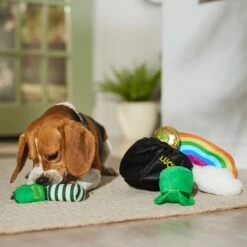 Frisco St. Patrick's Pot Of Gold Hide & Seek Puzzle Plush Squeaky Dog Toy -Pet Toys Store 303130 PT4. AC SS1800 V1700163009