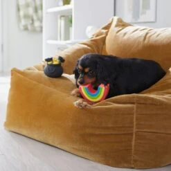 Frisco St. Patrick's Rainbow And Pot Of Gold Latex Squeaky Dog Toy -Pet Toys Store 303136 PT4. AC SS1800 V1702500566