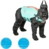 Frisco Active Dog Life Jacket & Frisco Foam Rubber Floating Fetch Ball No Squeak Dog Toy 2 Frisco Active Dog Life Jacket & Frisco Foam Rubber Floating Fetch Ball No Squeak Dog Toy -Pet Toys Store 303364 MAIN. AC SS1800 V1623163652