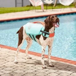Frisco Active Dog Life Jacket & Frisco Foam Rubber Floating Fetch Ball No Squeak Dog Toy 14 Frisco Active Dog Life Jacket & Frisco Foam Rubber Floating Fetch Ball No Squeak Dog Toy -Pet Toys Store 303364 PT3. AC SS1800 V1623163058