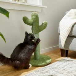 Frisco Cactus Cat Scratching Post & Frisco Dangly Avocado Buddy Plush Cat Toy With Catnip 12 Frisco Cactus Cat Scratching Post & Frisco Dangly Avocado Buddy Plush Cat Toy With Catnip -Pet Toys Store 303380 PT3. AC SS1800 V1623081149