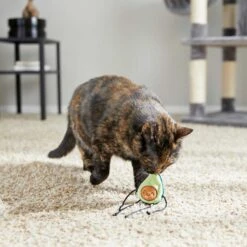 Frisco Cactus Cat Scratching Post & Frisco Dangly Avocado Buddy Plush Cat Toy With Catnip 15 Frisco Cactus Cat Scratching Post & Frisco Dangly Avocado Buddy Plush Cat Toy With Catnip -Pet Toys Store 303380 PT6. AC SS1800 V1623085642