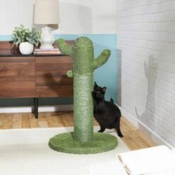 Frisco Cactus Cat Scratching Post & Frisco Taco Plush Cat Toy With Catnip -Pet Toys Store 303382 PT3. AC SS1800 V1623071255